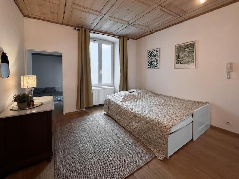 Hypercentre 80M2, A Deux Pas Du Chateau Des Rohan Saverne Esterno foto