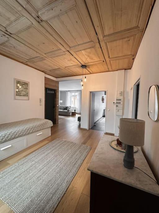 Hypercentre 80M2, A Deux Pas Du Chateau Des Rohan Saverne Esterno foto