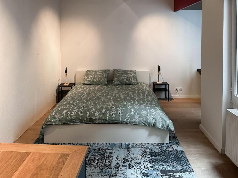 Hypercentre 80M2, A Deux Pas Du Chateau Des Rohan Saverne Esterno foto