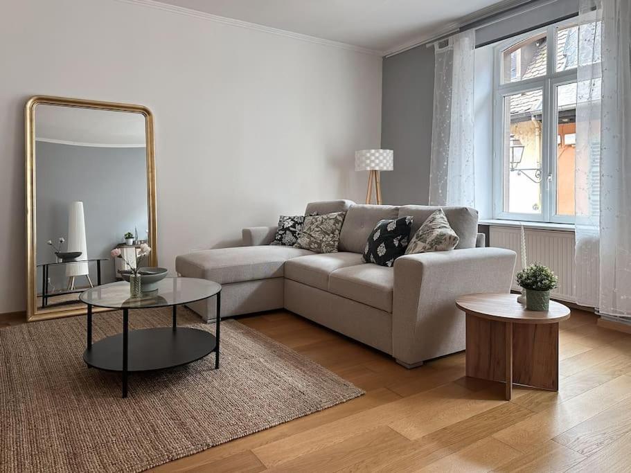 Hypercentre 80M2, A Deux Pas Du Chateau Des Rohan Saverne Esterno foto